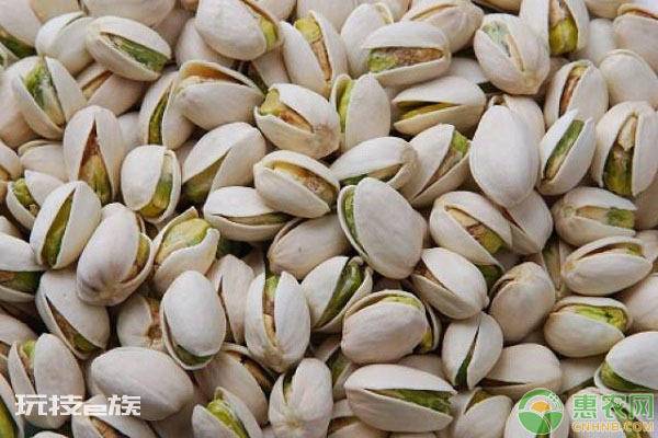 开心果为什么卖这么贵(开心果价格居高不下的五个原因)-图片2